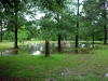 Picture 082.jpg